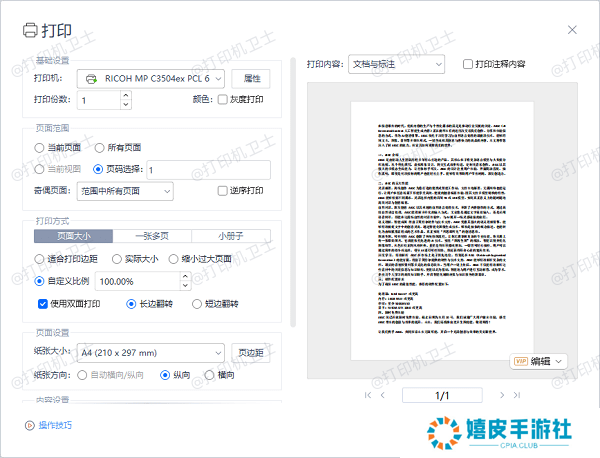 PDF 阅读器中的打印预览